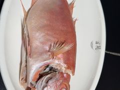 -吴记富苑(朝阳店)