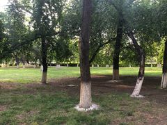 -黑龙江中医药大学