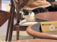 -Peet's Coffee皮爷咖啡(豫园店)