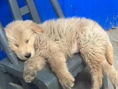 -乐宠宠物店(世纪金源店)