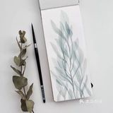 她画的水彩花卉🌺晶莹剔透～
