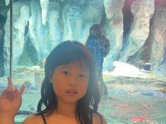 -帝企鹅自助餐厅•儿童岛•真企鹅(长隆企鹅酒店)