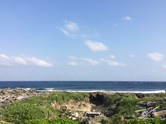 -龙坑生态保护区