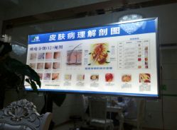 -痘研专业皮肤管理中心