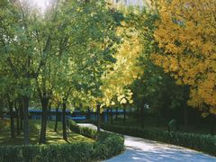 -卖呆儿咖啡(望京店)