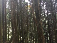 -井冈山风景名胜区-黄洋界