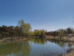 -大兴滨河森林公园