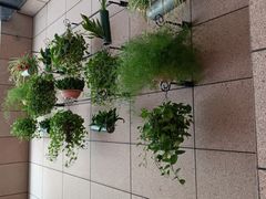 -复旦大学附属中山医院(西院区)