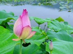 -梅州天地人花园酒店(梅县人民广场店)