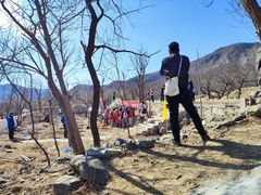 -阳台山自然风景区