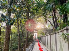 -上海佘山国家森林公园西佘山园