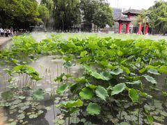 -四川大学(望江校区)