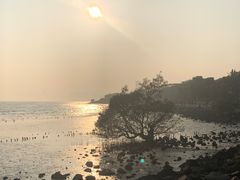 -深圳湾公园(南山区)