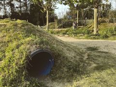 -前小桔亲子创意农场·草莓采摘·露营烧烤