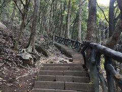 -梧桐山风景名胜区