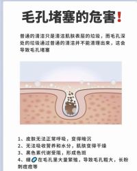 点击看大图 -玛莲朵·海菲秀冰珀科
