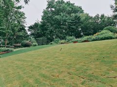 景点-静安公园(静安寺街道)