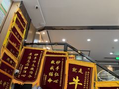 -半岛宠物医院24小时·内窥镜·牙科·碎石中心(府城大道店)