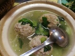 -丁老爷子苏香圆