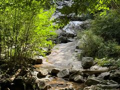 -青峰峡国家森林公园