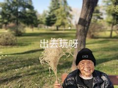 -洨河生态公园
