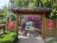 -郑州银基黄帝宫御温泉