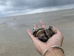 -北海金海湾红树林生态旅游区