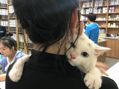 -奈斯宠物医院·核磁CT·异宠专科·内镜(中南店)