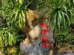 -中国科学院西双版纳热带植物园