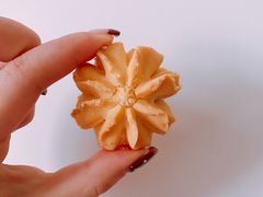 -珍妮曲奇聪明小熊(尖沙咀店)