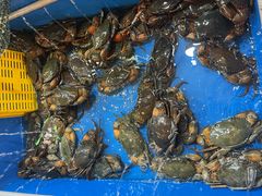 -大树下海鲜饭店