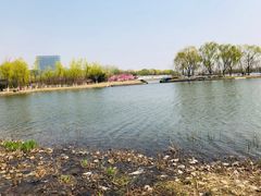 -大兴滨河森林公园