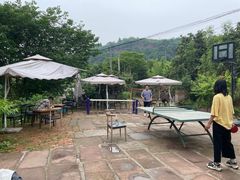 -桃源山庄·烤全羊·柴火鸡·烧烤团建(龙泉山店)