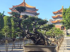 -广东圆玄道观