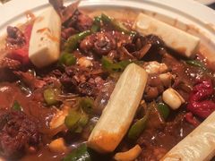 -阿五黄河大鲤鱼(英协路店)