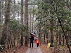 -四明山国家森林公园