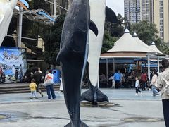 -海合安成都极地海洋公园