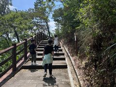 -羚羊峡古栈道森林公园