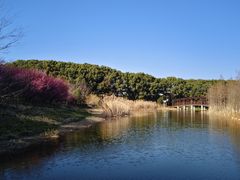 -同里国家湿地公园