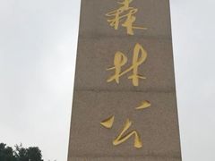 -铁山坪森林公园