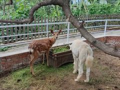 -丽泽山庄·生态怀柔菜·虹鳟鱼(红螺寺店)
