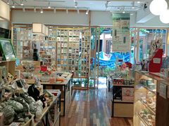 -猫的天空之城概念书店(束河店)
