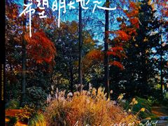 -上海共青森林公园