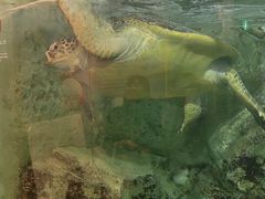 -西海国立公园九十九岛水族馆