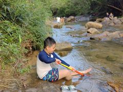 -广州白江湖森林公园