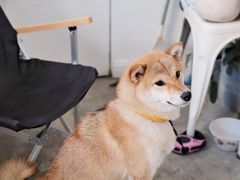 贝果-隹木咖啡馆(宝龙广场店)