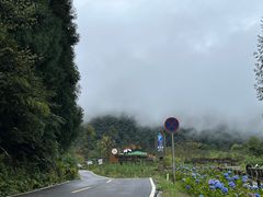 -龙苍沟森林公园