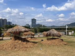-光明小镇欢乐田园