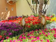 -红黄蓝幼儿园(颐东苑店)