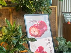 -陶兰居·香港饭店·海鲜大排档(圆融时代广场店)